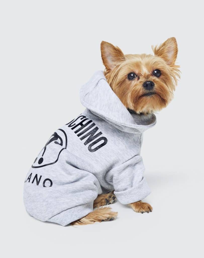 Le sweat-shirt en molleton signé Moschino x H&M, idéal pour les siestes dans notre panier doré.